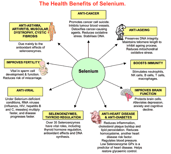Selenium_Benefits