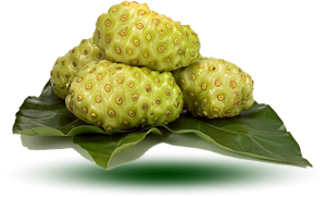 noni